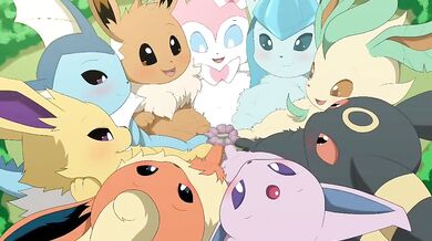 The Furrys Revenge: An Animated Music Video for Vendettas