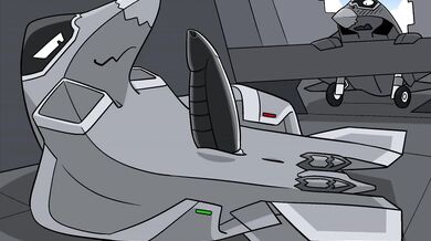 Write a paragraph about the relationship between humans and animals, using at least 5 specific examples to illustrate your points