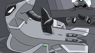 Write a paragraph about the relationship between humans and animals, using at least 5 specific examples to illustrate your points