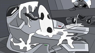 Write a paragraph about the relationship between humans and animals, using at least 5 specific examples to illustrate your points