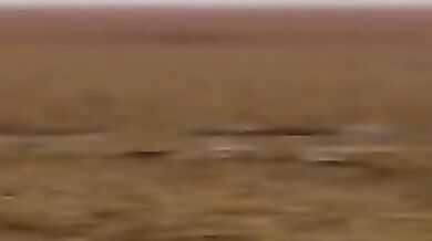 ------------------------------ [MMD R15] Adult Shimakaze - WiggleWiggle (C ver)