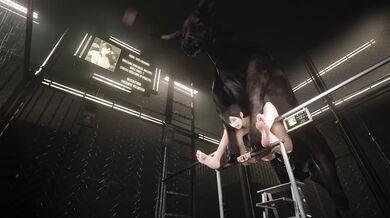 The story of a young lady named Tifa, and her love for a bull