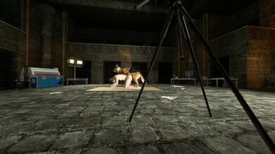 Watch two gay men have hot sex in the zoo during sunset, surrounded by lions and monkeys