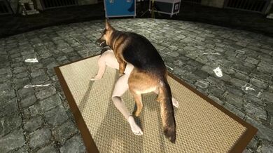 Watch two gay men have hot sex in the zoo during sunset, surrounded by lions and monkeys