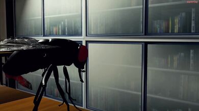 My insects caught me masturbating in school!