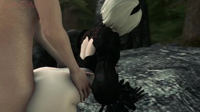 ----------------------------------------------