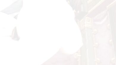 A group of hot girls decide to have a fun night out at the club, but little did they know that their wildest fantasies were about to come true