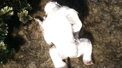 The Troll Mountains of Lust!