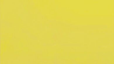 The Inhaling Haydee who Farts and ElSharkoDiablo [Hentai Porn Video]