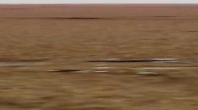 The 3D animations in Adult Shimakaze - WiggleWiggle (E ver) [MMD R15] will definitely get you wiggling and jiggling with excitement