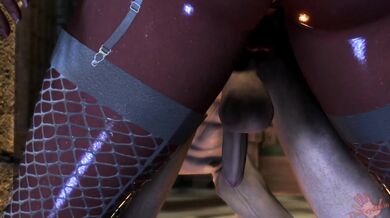 Porn Star Blowjobs - Skytail Training