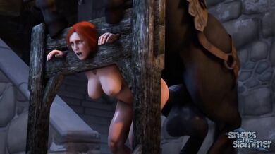 Saddle Up for Adventure with Horse and Video 26!