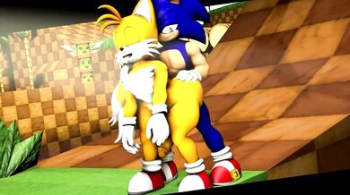 Sonic and Tails Unforgettable Night in the Sonic Universe