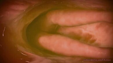 The Devils Cookie - An Endless Orgasm (Reloaded)