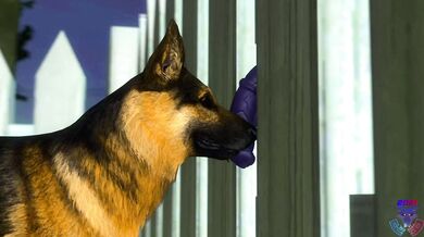 Through the Bars: A Ridley and His Dogs Erotic Adventure