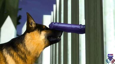 Through the Bars: A Ridley and His Dogs Erotic Adventure