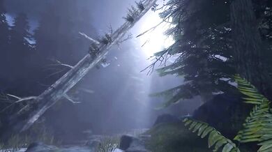 Queen Nualia Compilation