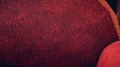 Erotic Adventure on the High Seas: The Unique Cargo