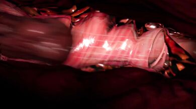 Jill and Doggos Long F***!