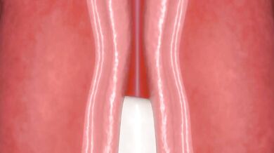 super futa cum compilation