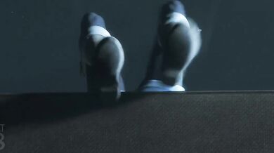 Taming the Futa Ashley Brown