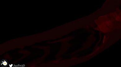 The Tentacle Expedition - Cruiser Series Episode 2: A 3D Visual Feast