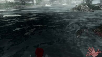 Hey babe, wanna go on a trip to Cyrodiil? We can explore the land together and maybe even find some adventure along the way!