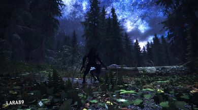 After dark, a lonely young woman ventures out into the woods and stumbles upon a seductive werewolf Will she survive this midnight encounter?