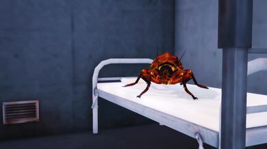 Emergency Mating Mission: Observer B Needs to Breed!