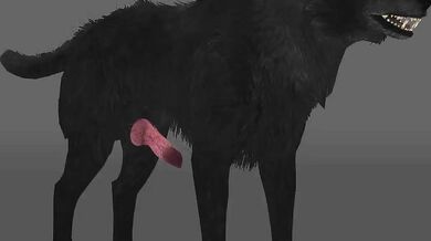 Hentai Animation: Wolf Sex Render