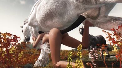 Girl Taken by Horse Cocks Part 1: The Skyrim Experience - DragonLover271