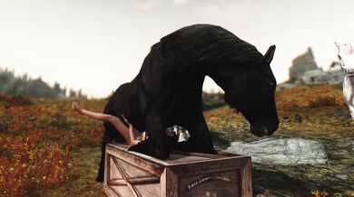 Girl Taken by Horse Cocks Part 1: The Skyrim Experience - DragonLover271