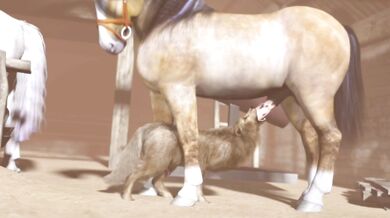 A Hairy Tale: Three Spiritual Lovers Connect in a World of Shadows