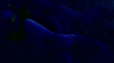 Sonic the Hedgehog and Wave the Swallow in a Night of Saucy Turn-Overs [SauceTurns]