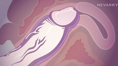 A Womans Point of View (Just Body Parts)