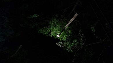 weird encounter with a futa (extra scene)