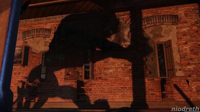 Ciris cold nights - Niodreth