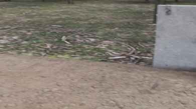 Jessies roadtrip - Music video