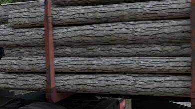 Jessies roadtrip - Music video