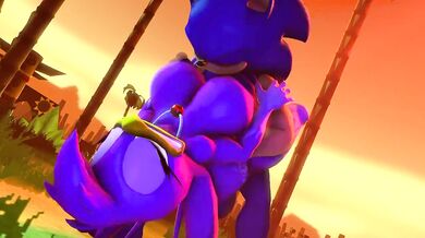 Sonic Fucking Wave in the Sunset [SaucerReturns]