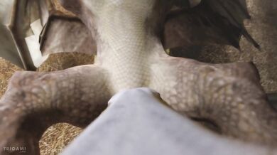 The Passionate Eiffel Tower - Trio-Ami