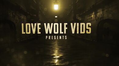 Samus and the Alien Connection