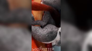 Babysitter Judys Rough Ride with Nick: Wig-Frittering the Day Away