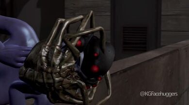 Anal Probe of the Wormy Kind