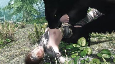 Forbidden Love in the Woods