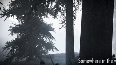 Huntress & Her Wolf part 3