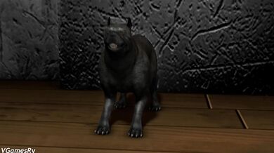 Two hot lesbian girls Ellie and Judy plus their adorable dog, Rufus, playing naughty games in the bedroom