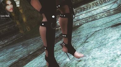 In this compilation, a modder shares their sexy Skyrim creations, including an erotic dungeon crawl and a steamy dragon-shifter romance