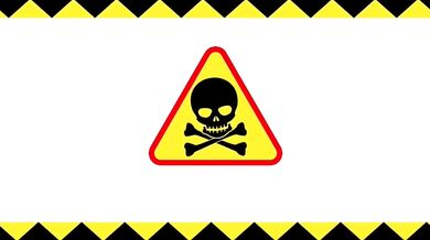 My younger sister, who I never knew existed until now, is sleeping next to me in the same bed