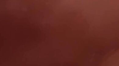 The Dog Pill HMV: The Dogfather